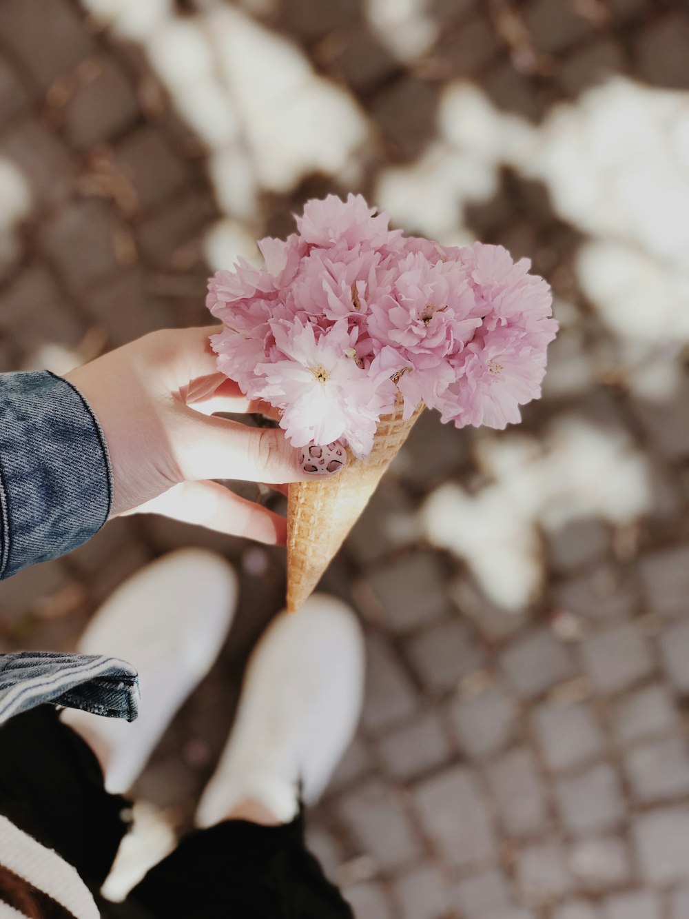 person holding flower