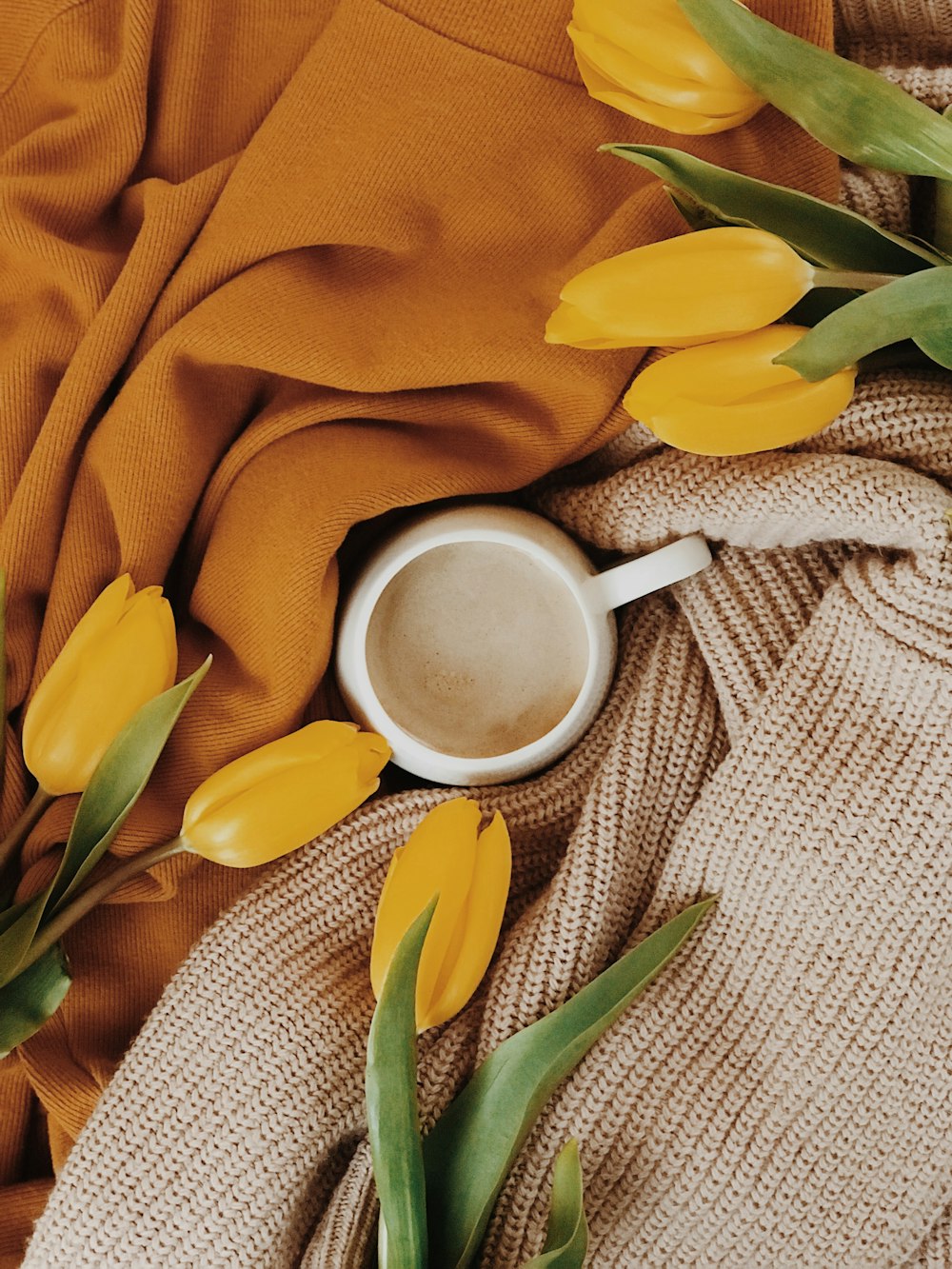 gelbe Tulpenblüten in der Nähe von weißem Keramikbecher