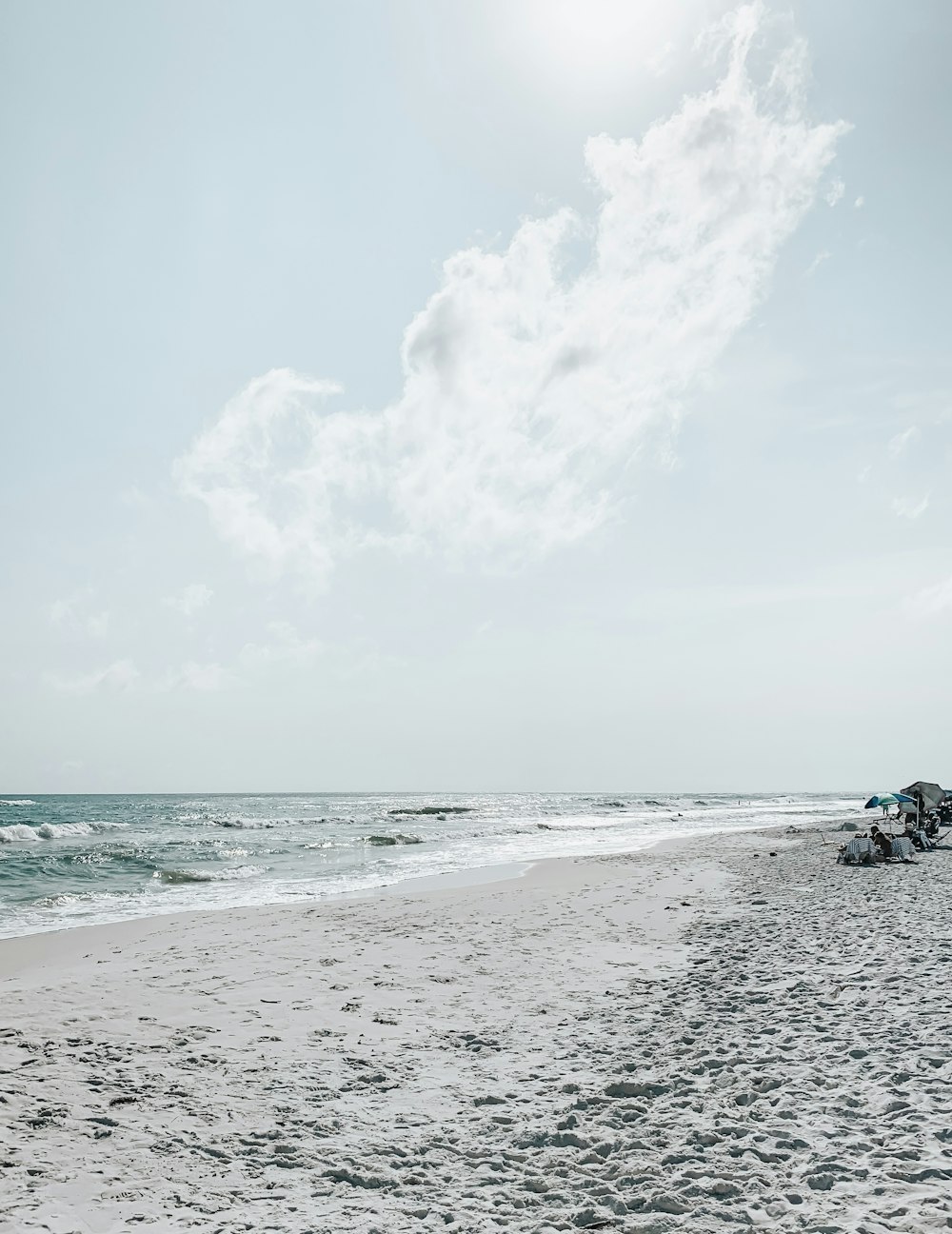 seashore during daytime