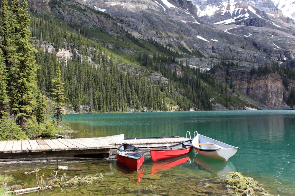 two boats at the dock near pine trees