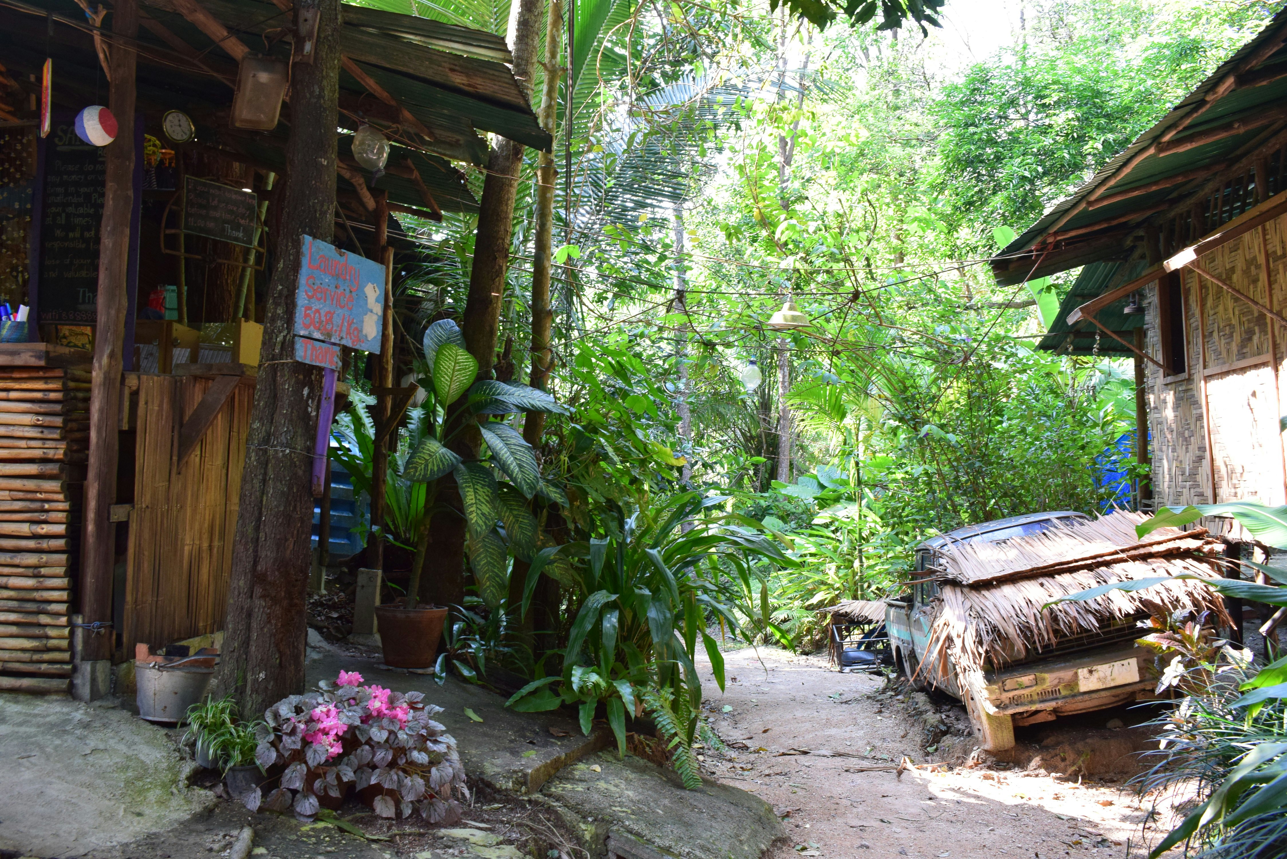 Photo by thattravelblog