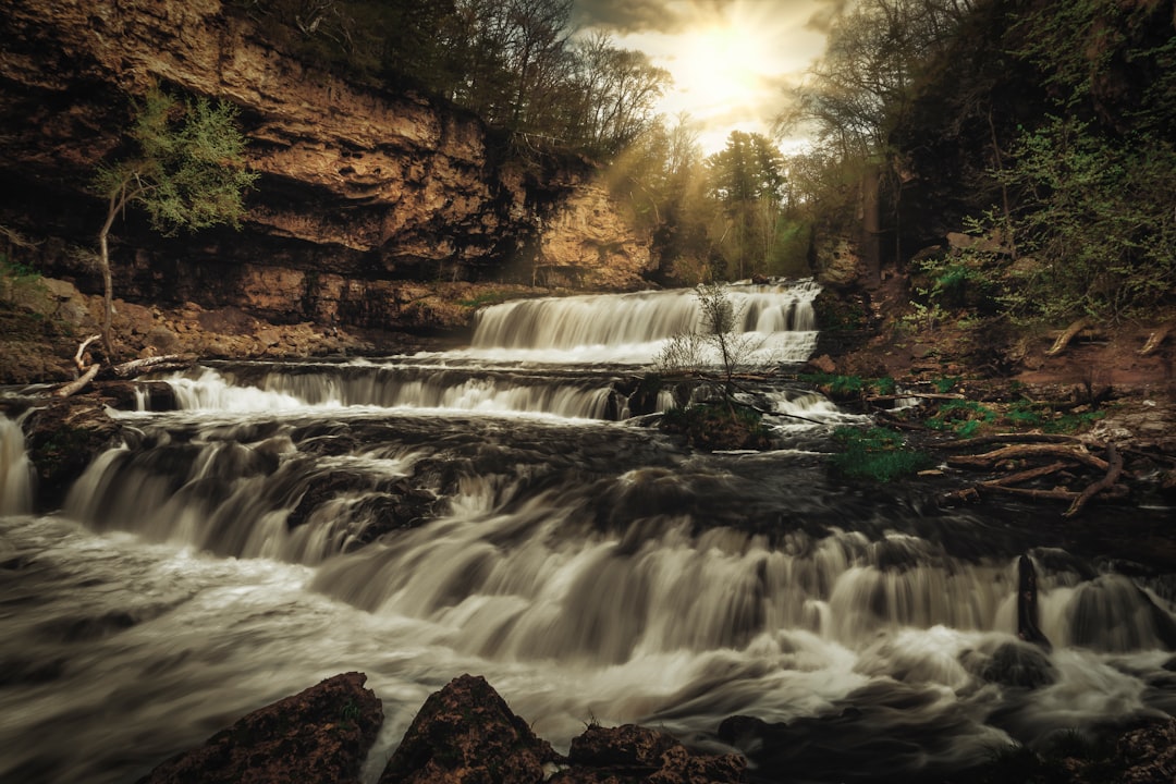 waterfalls surrounded by forest during daytime