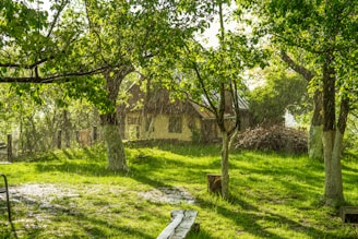 A cozy, sunlit green home surrounded by lush trees and a small garden.