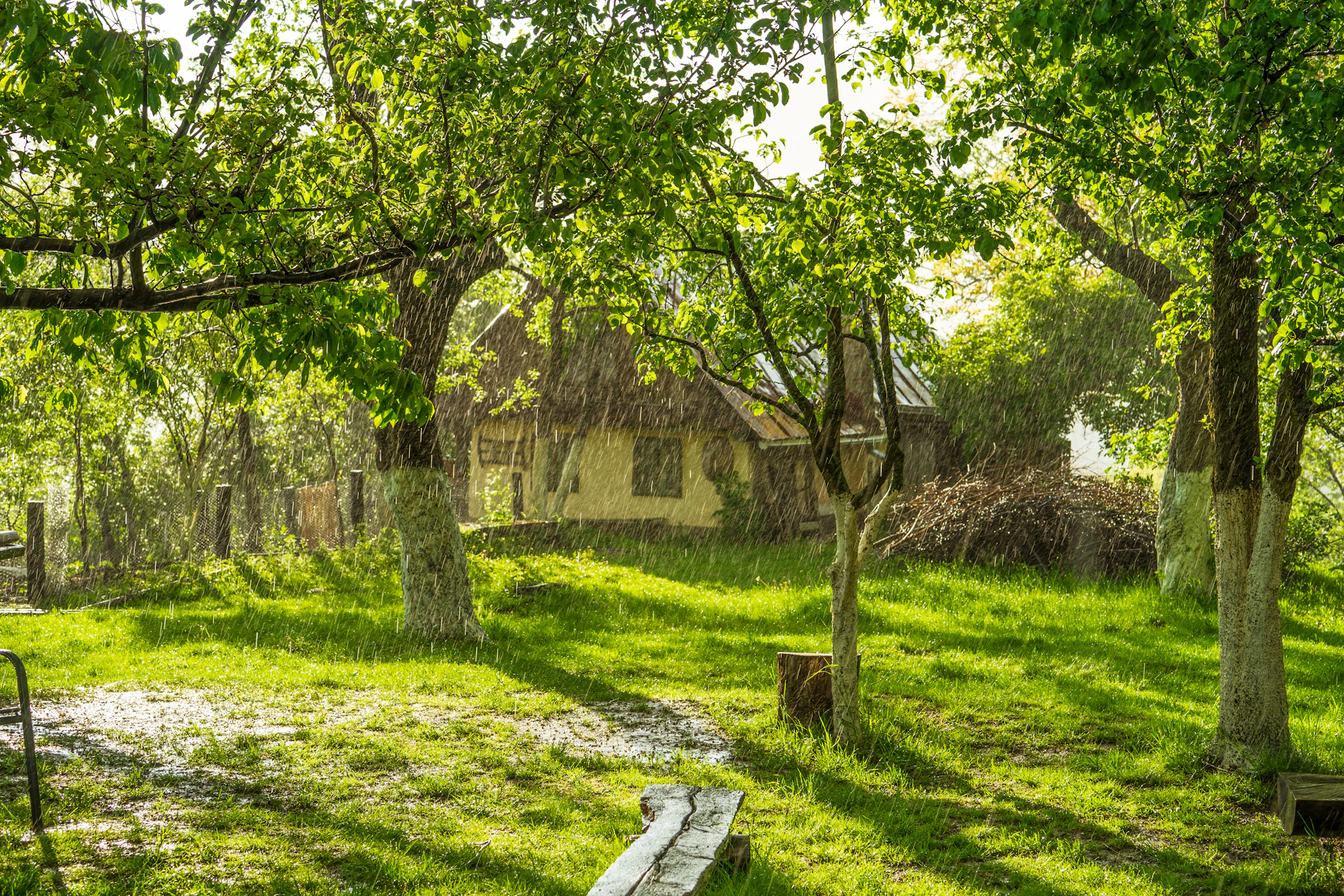 woman wearing yellow long-sleeved dress under white clouds and blue sky during daytime