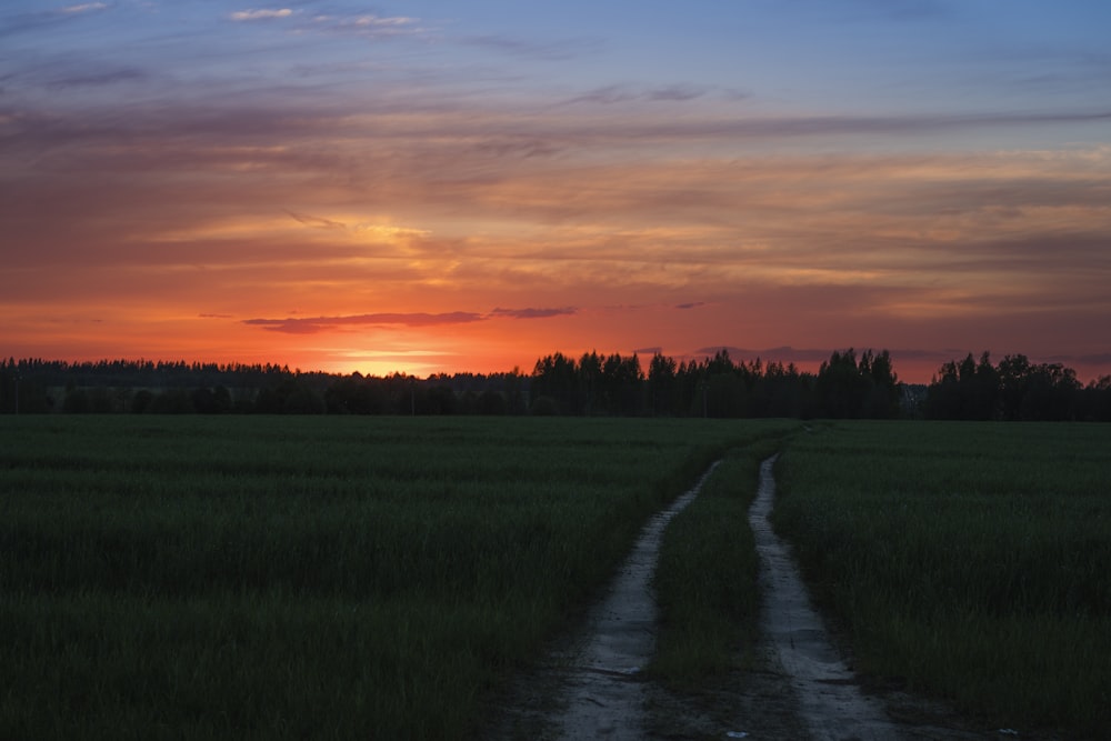 vehicle dirt road on grass and forest at the distance during day