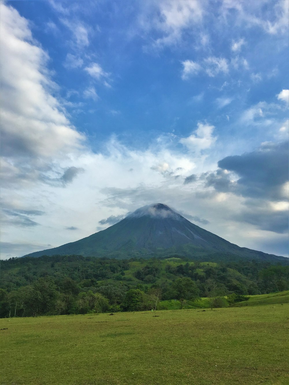 mountain, forest, and grass during day