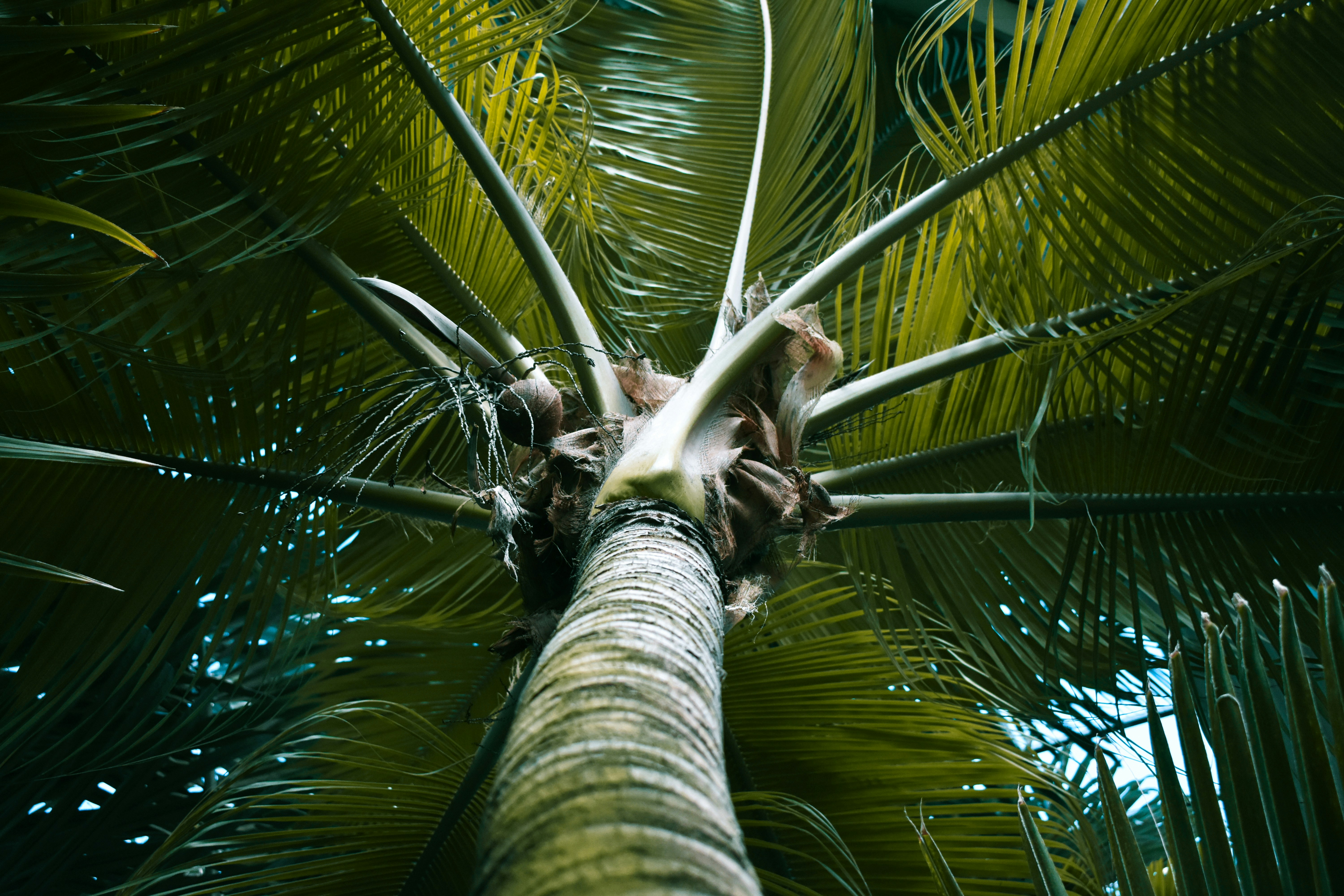 Photo by keszthelyit
