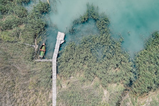 boat docked beside dock during day in Zánka Hungary