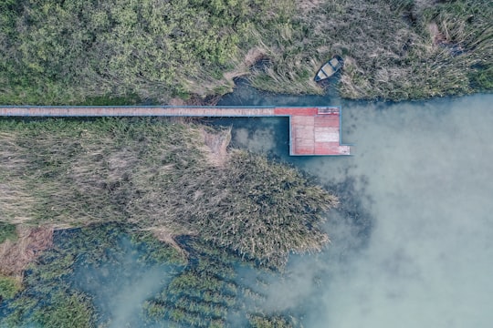 aerial photography of house beside body of water in Fonyód Hungary