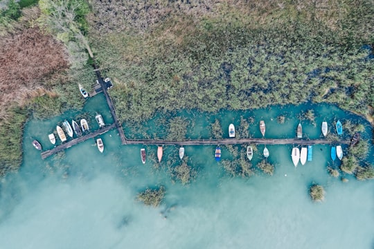 aerial photography of boats in Csopak Hungary