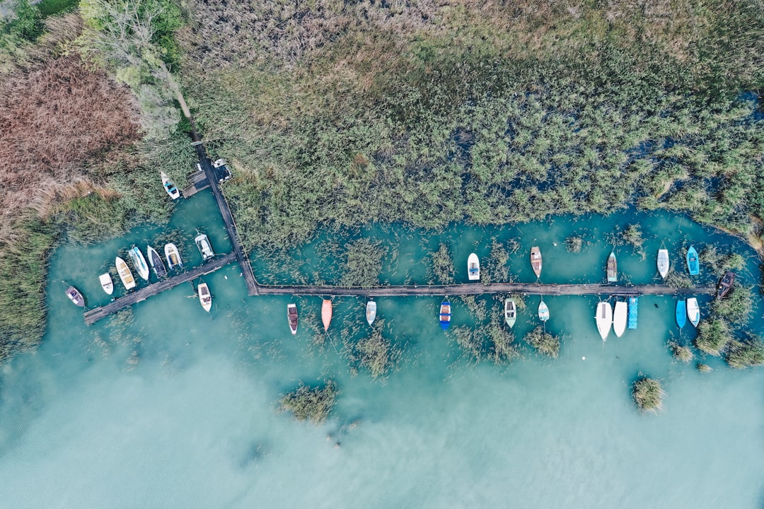 aerial photography of boats