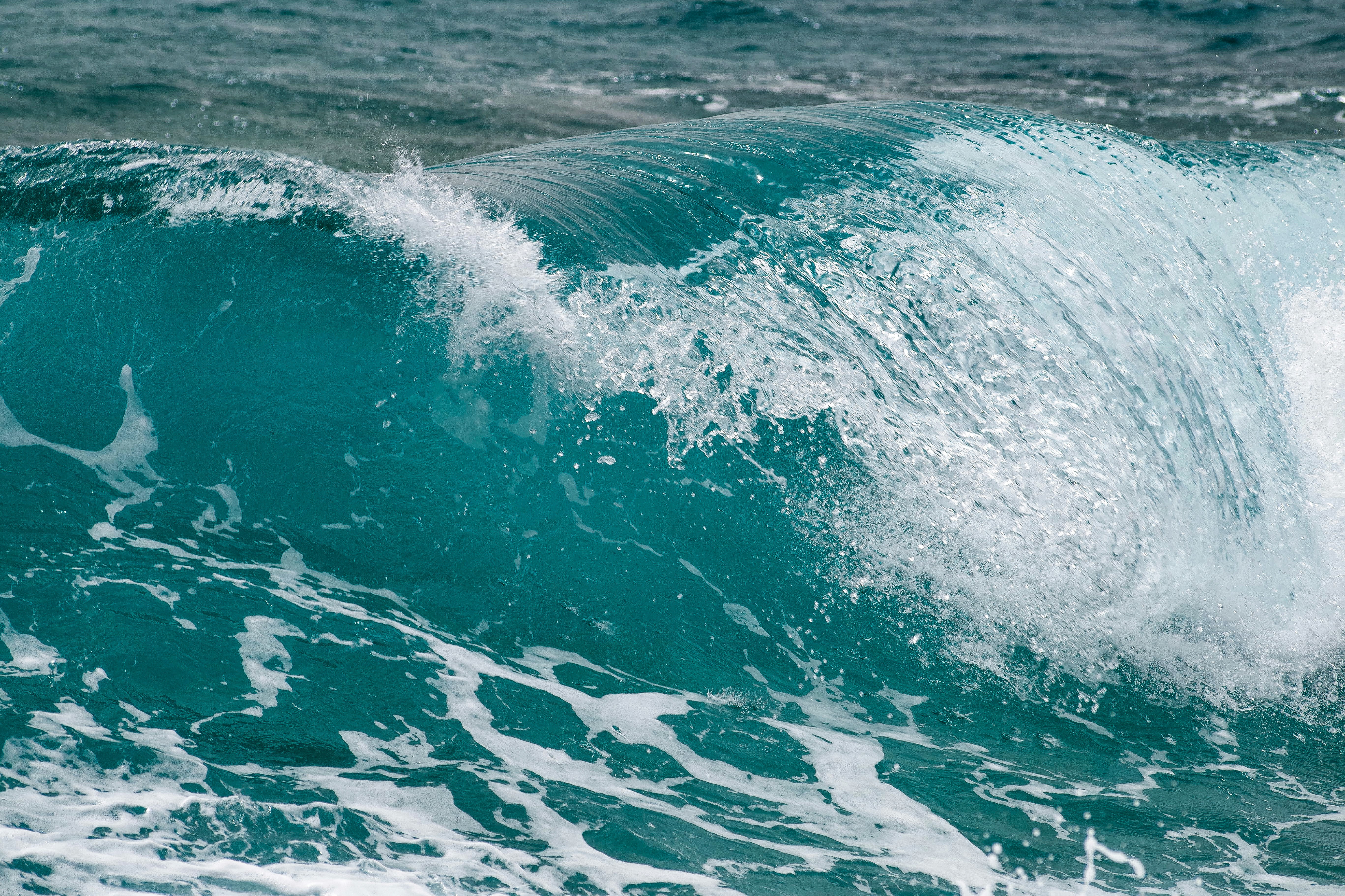 Photo by simonkuznetsovphoto