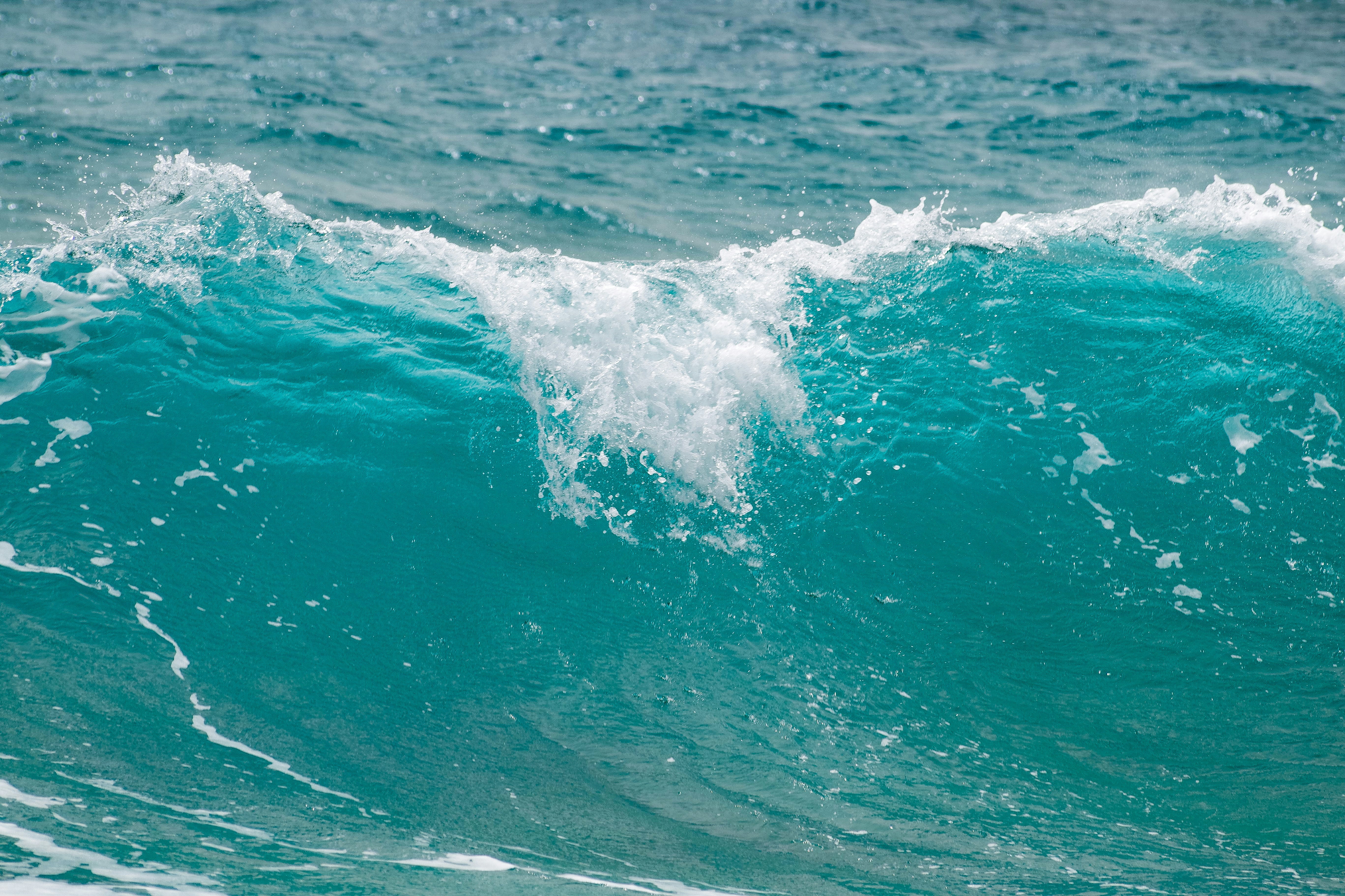 Photo by simonkuznetsovphoto