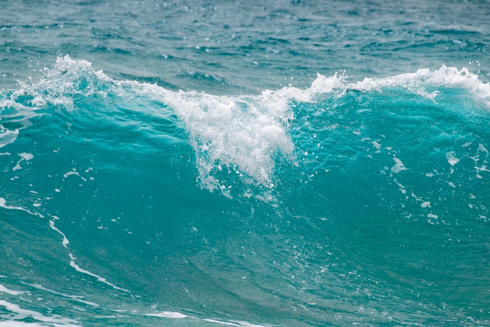 ocean wave during day