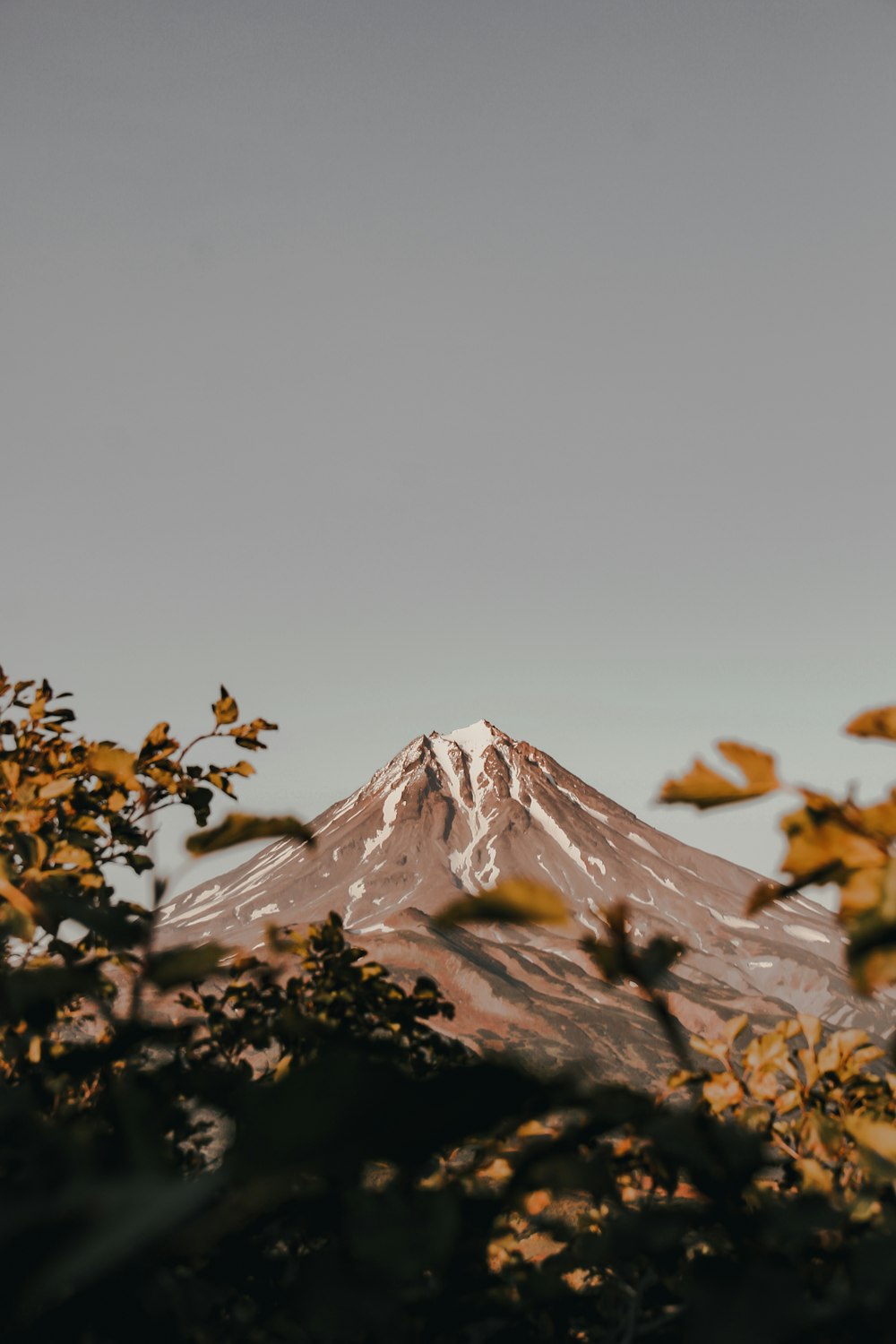 montagna vicino agli alberi durante il giorno