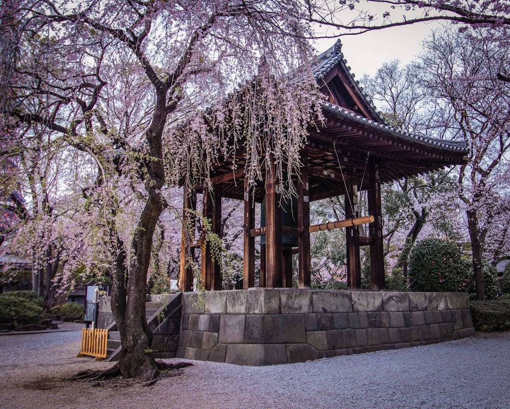 gazebo between trees during daytime