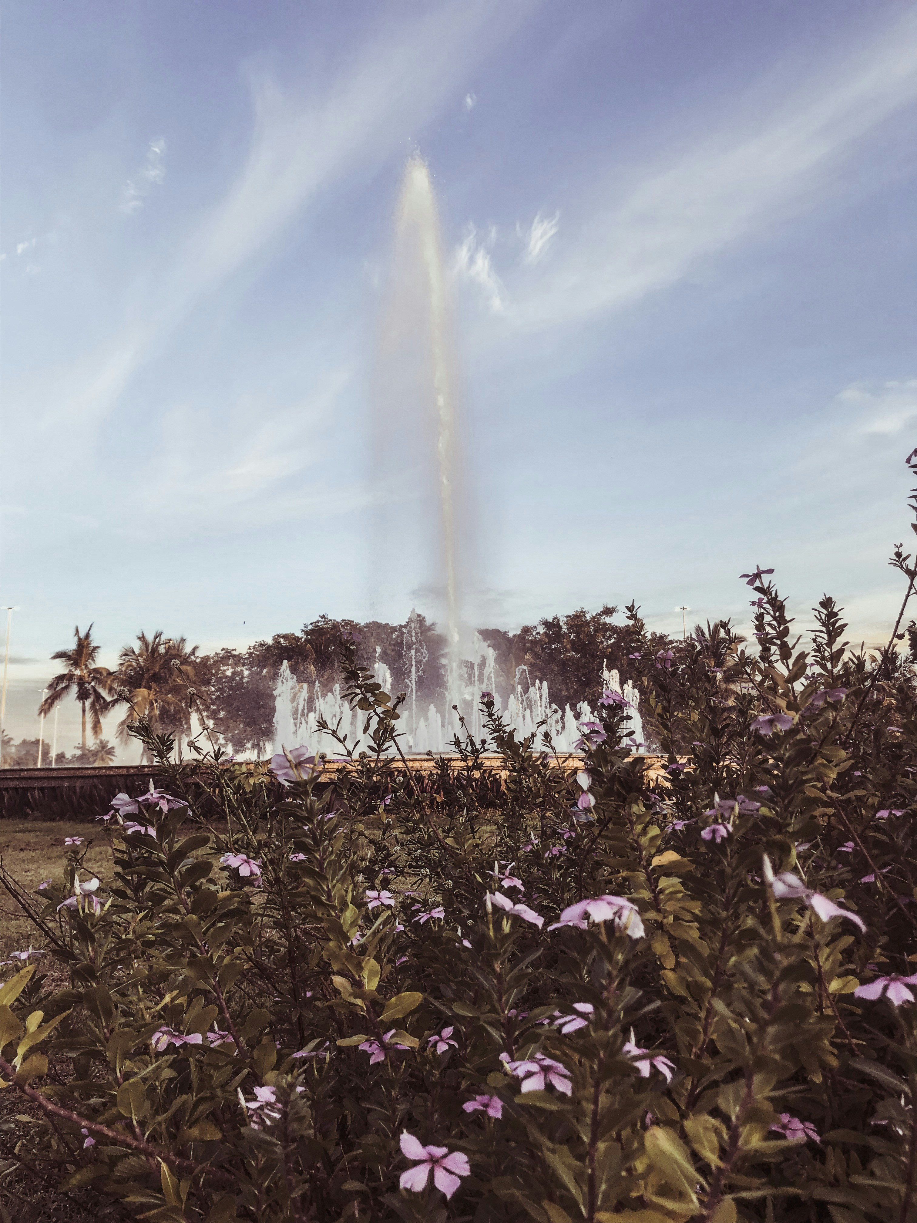 Photo by matheusalcan