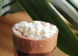 chocolate with marshmallows on top in drinking glass