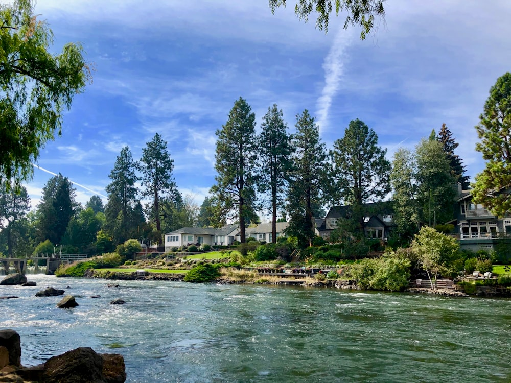 river, trees, and houses during day