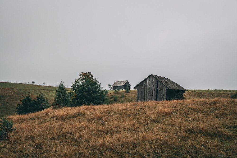 brown wooden house near tree