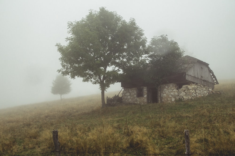 gray and brown stone house in a foggy field