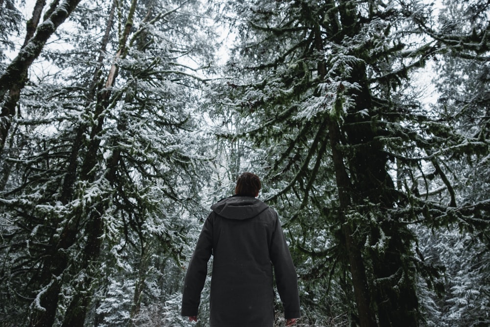 man standing near snow-covered pine trees