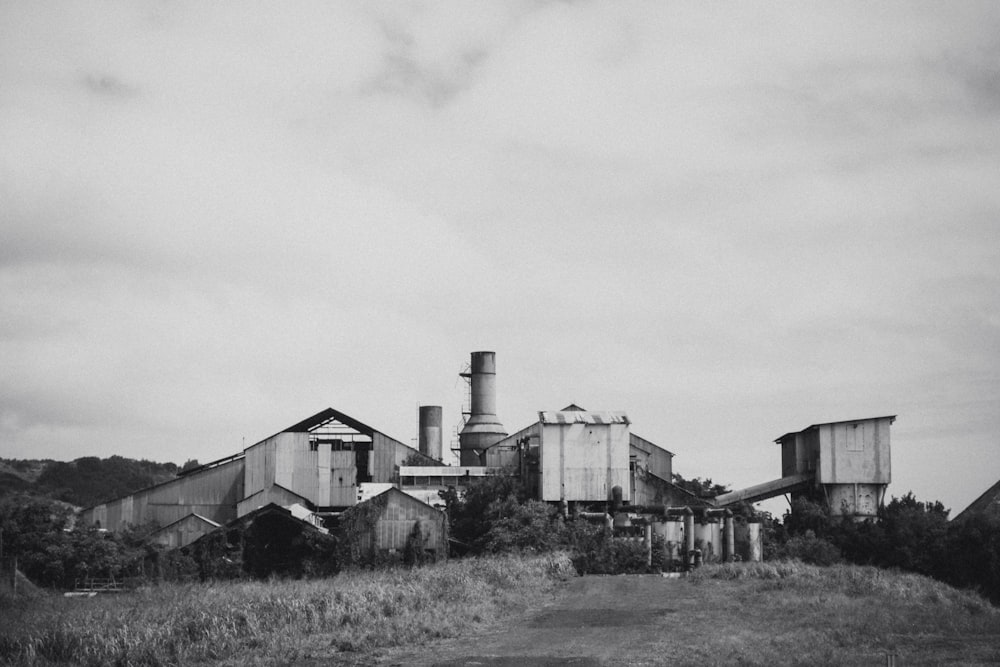 grayscale photo of houses and field
