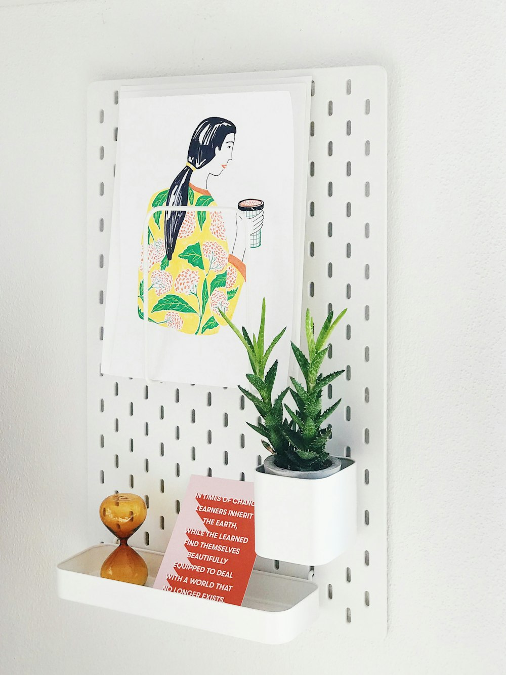 plants and book on wall shelf