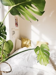 A serene bedroom with calming green plants enhancing relaxation.