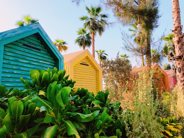 Colorful beach huts with slatted walls are surrounded by lush greenery and tall palm trees, creating a vibrant and tropical atmosphere. The sunlight casts a warm glow on the scene, enhancing the vividness of the greens and the bright hues of the huts.