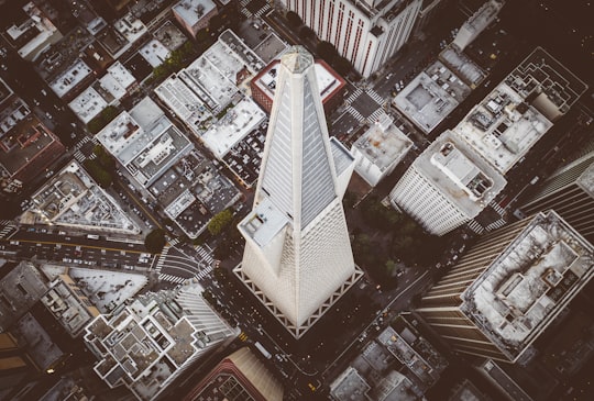 aerial photography of buildings in Transamerica Pyramid United States