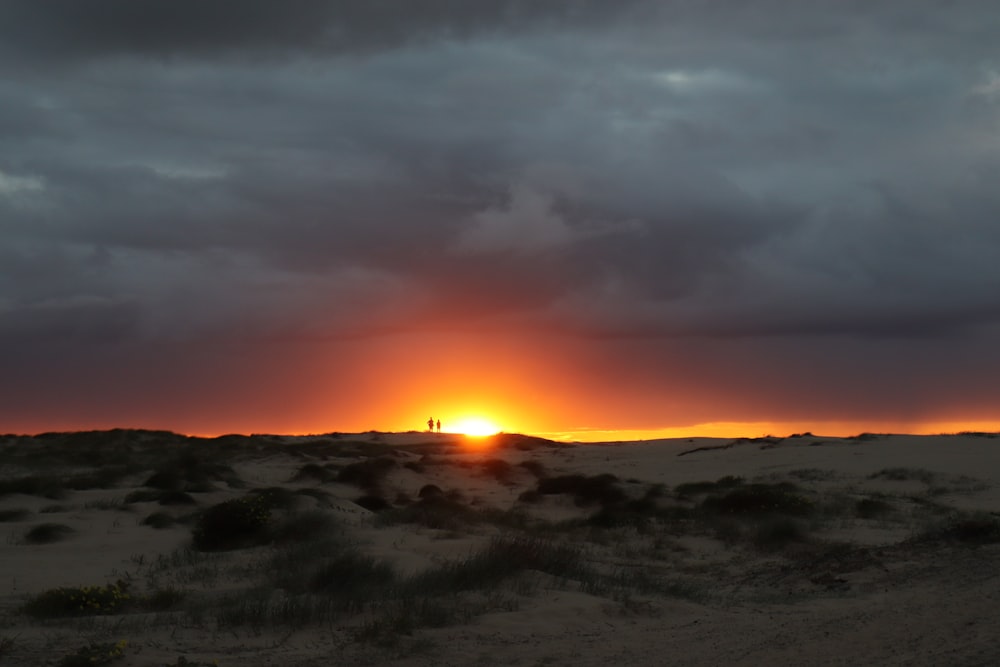 land under white clouds during golden hour