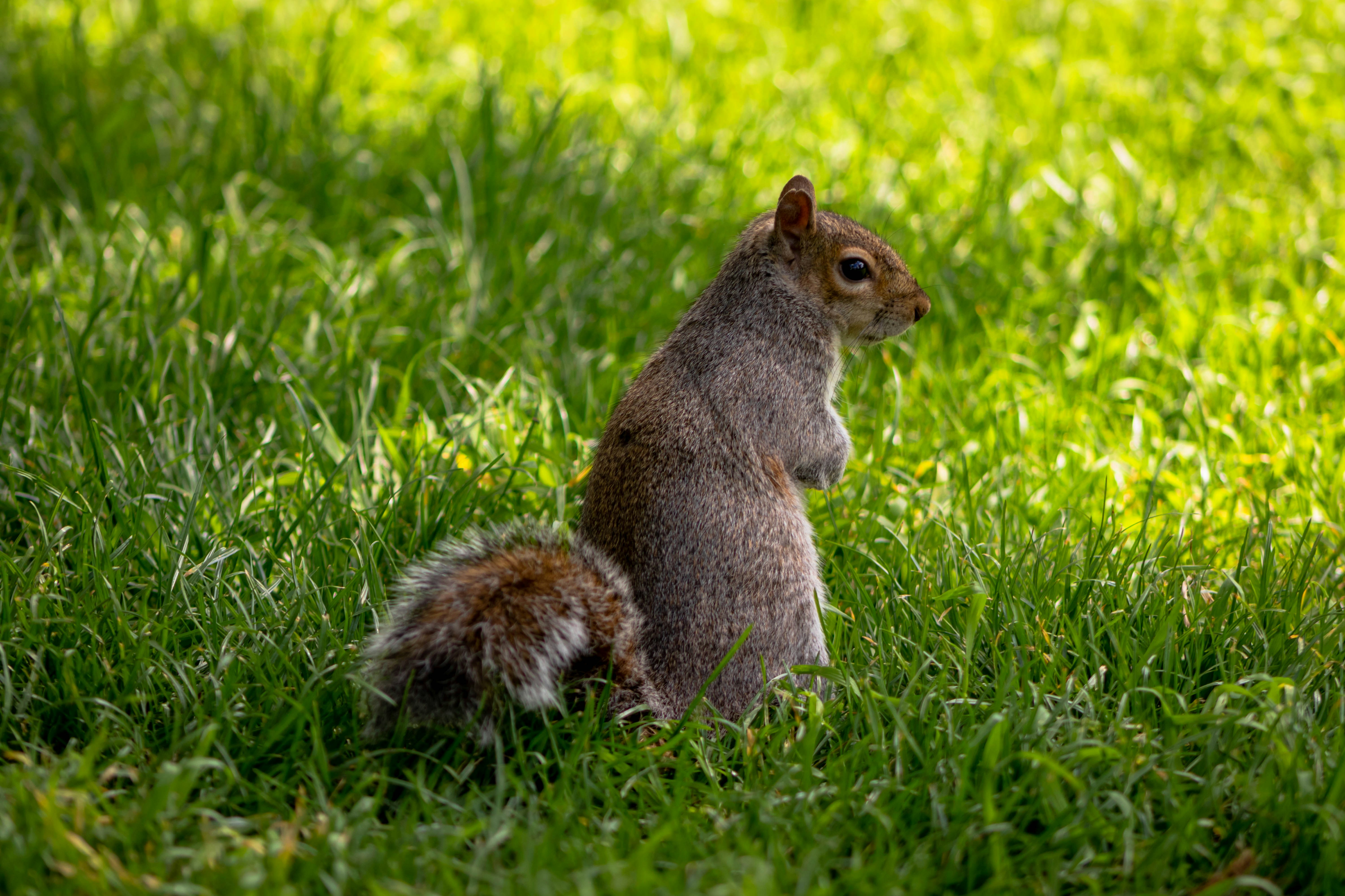 Photo by robert_iana10