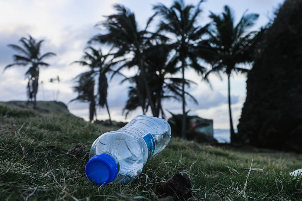 clear bottled water on green field