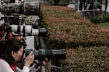 A group of photographers is intently focusing their cameras with large telephoto lenses on a subject in the distance. They are positioned behind some green shrubbery, suggesting they are at an event requiring discretion or distance. The atmosphere is professional and concentrated, with each photographer aiming to capture the perfect shot.