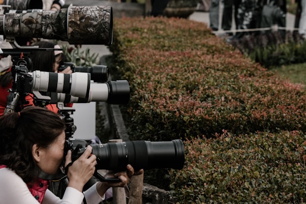 A group of photographers is intently focusing their cameras with large telephoto lenses on a subject in the distance. They are positioned behind some green shrubbery, suggesting they are at an event requiring discretion or distance. The atmosphere is professional and concentrated, with each photographer aiming to capture the perfect shot.