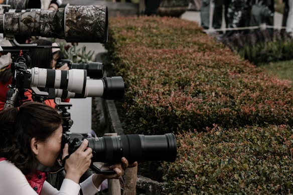 A group of photographers is intently focusing their cameras with large telephoto lenses on a subject in the distance. They are positioned behind some green shrubbery, suggesting they are at an event requiring discretion or distance. The atmosphere is professional and concentrated, with each photographer aiming to capture the perfect shot.