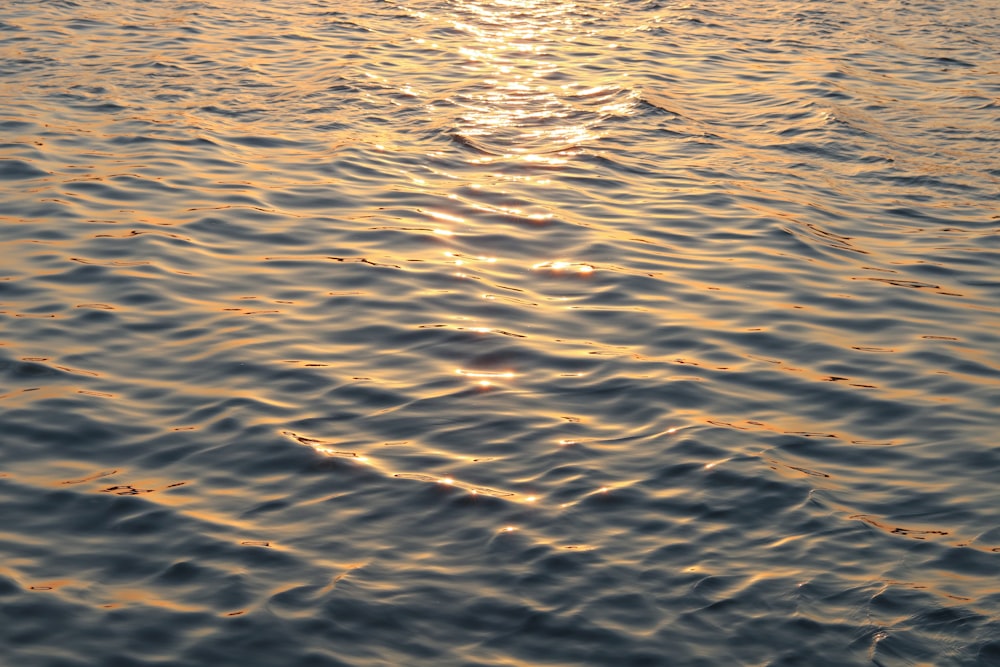 body of water during golden hour