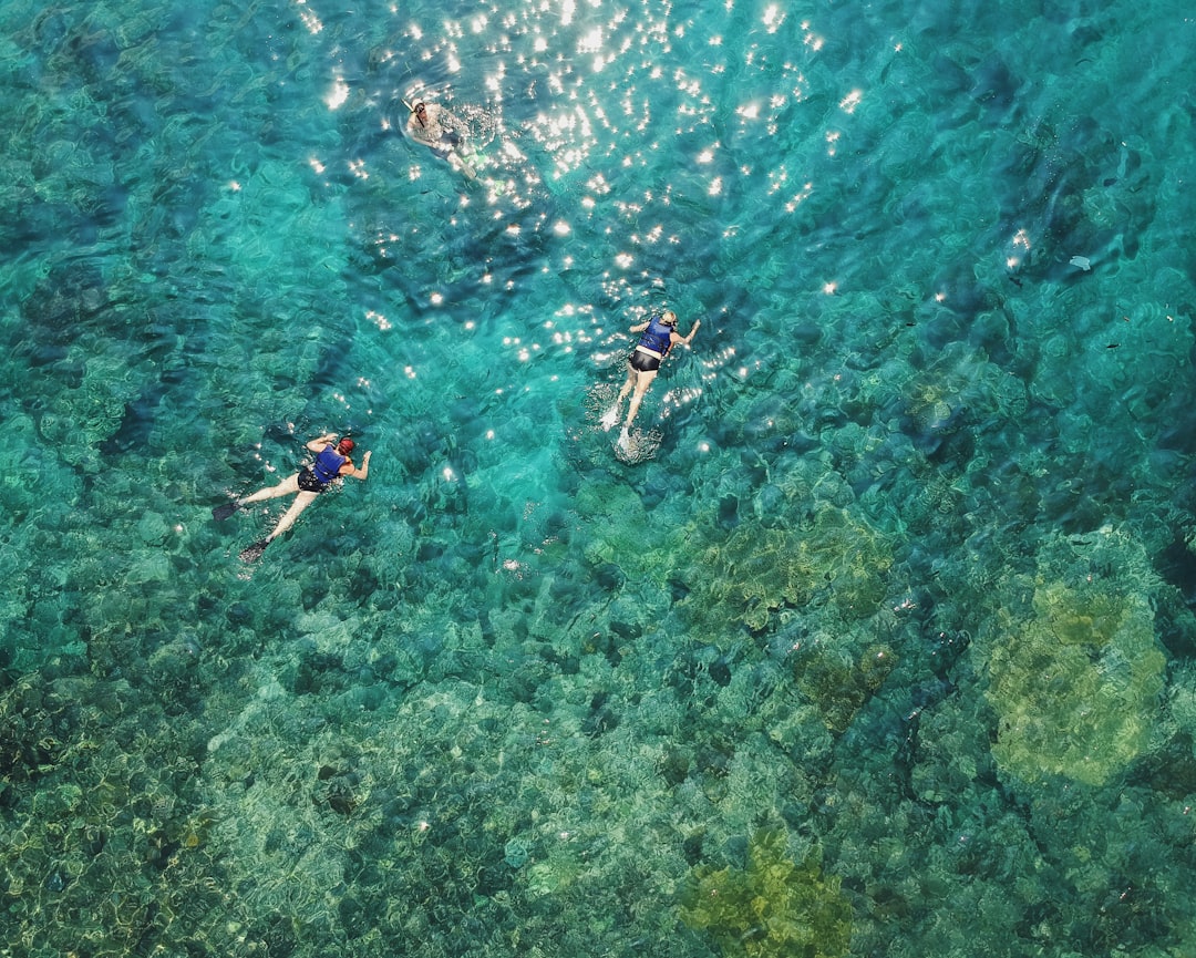 aerial photo of two persons snorkeling