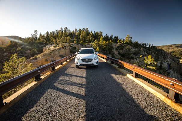 white car on bridge