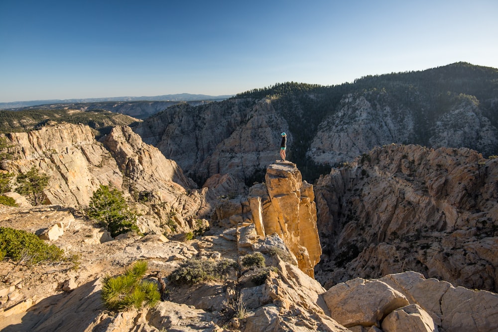 person standing on top of rock by the cliff