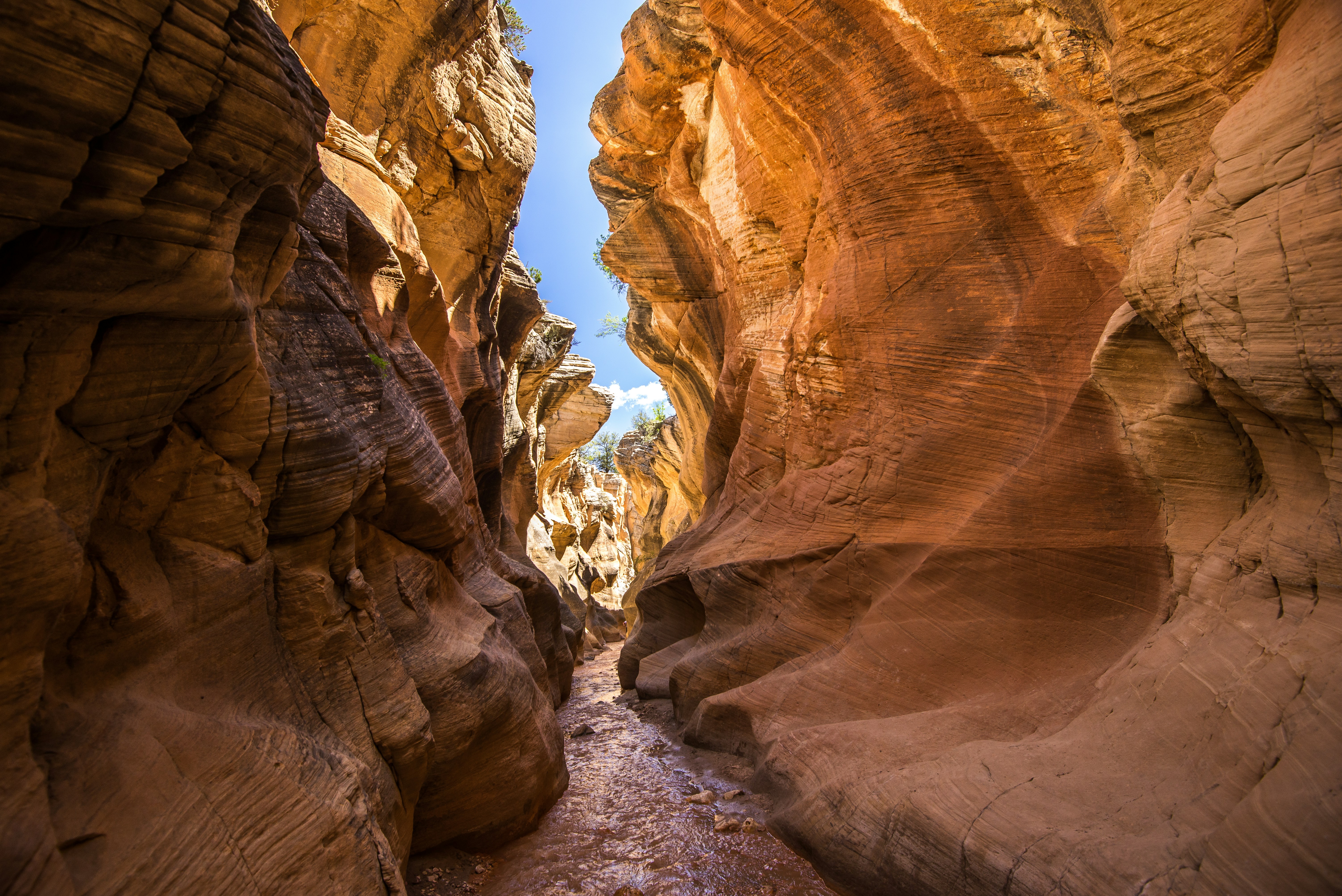 river flowing in between brown rock formations