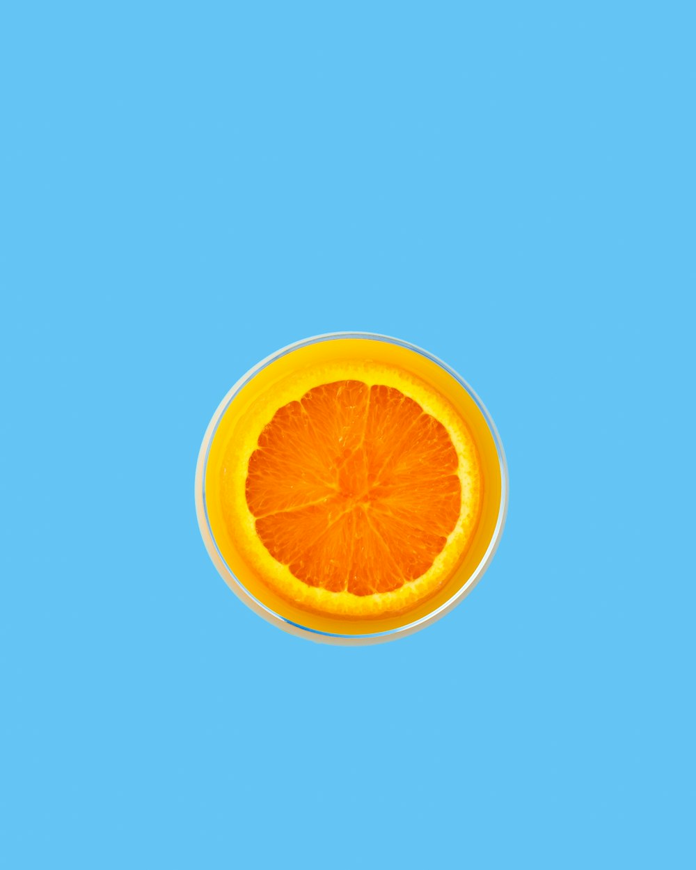 art vectoriel de fruits orange