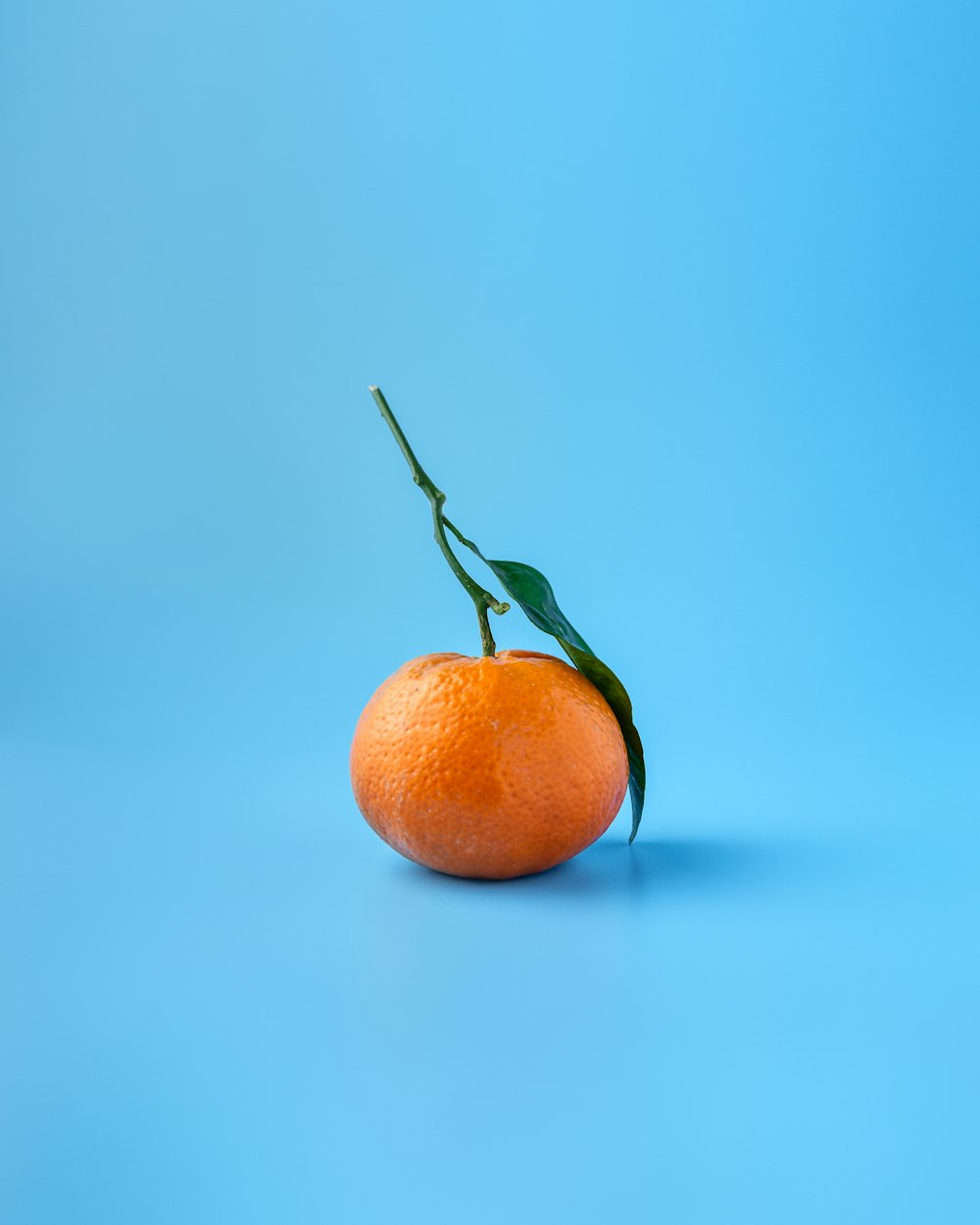 Fruit orange