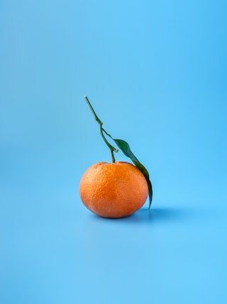 orange fruit