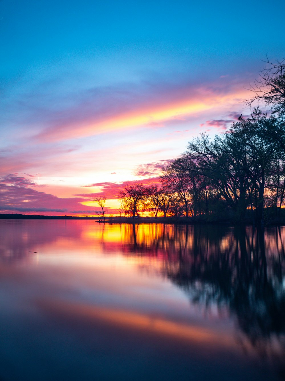 green trees across calm body of water