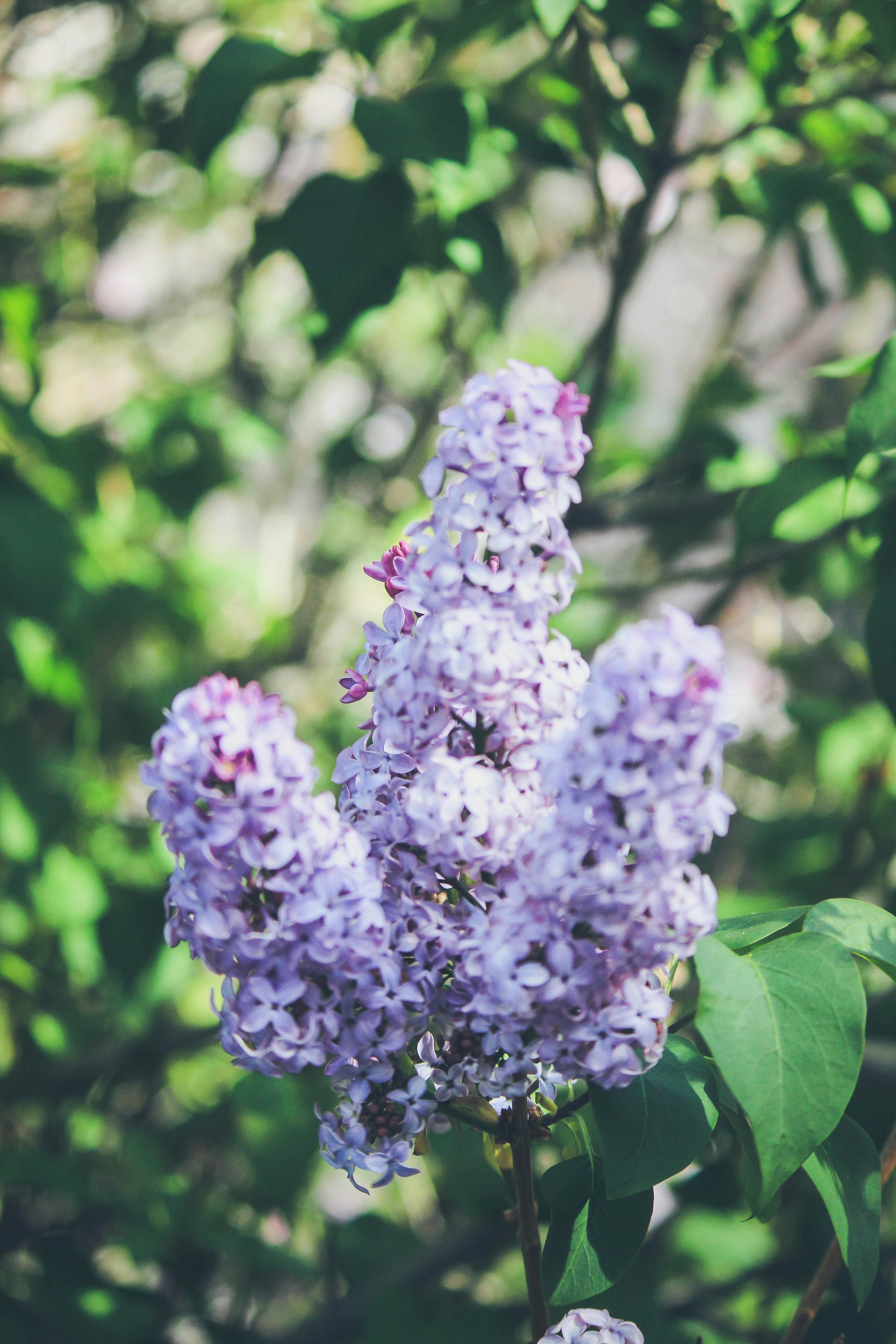 Photo by jessicalfadel