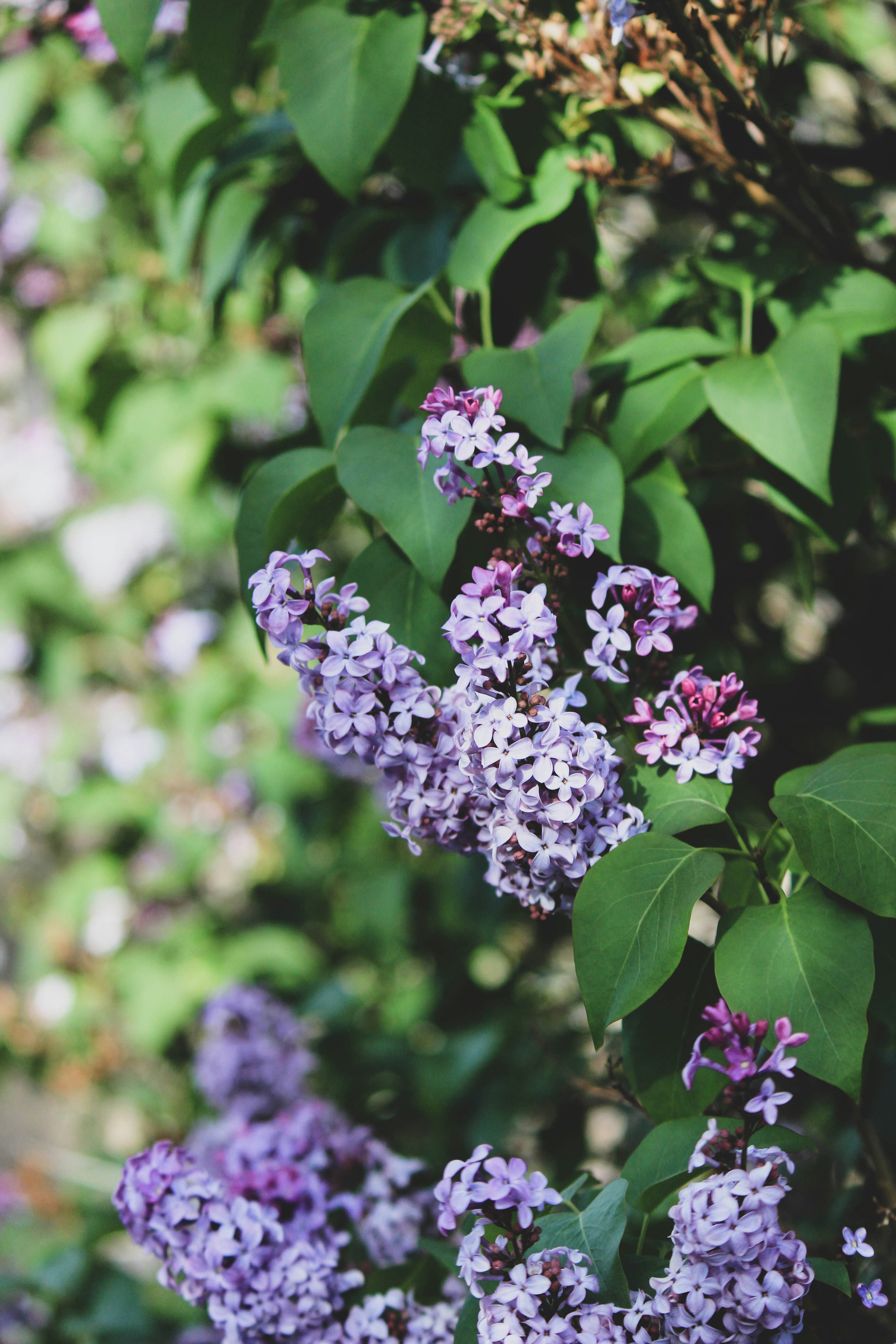 Photo by jessicalfadel