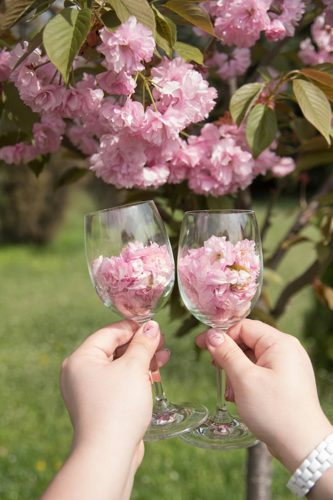 pink hydrangea in wine glass bottles