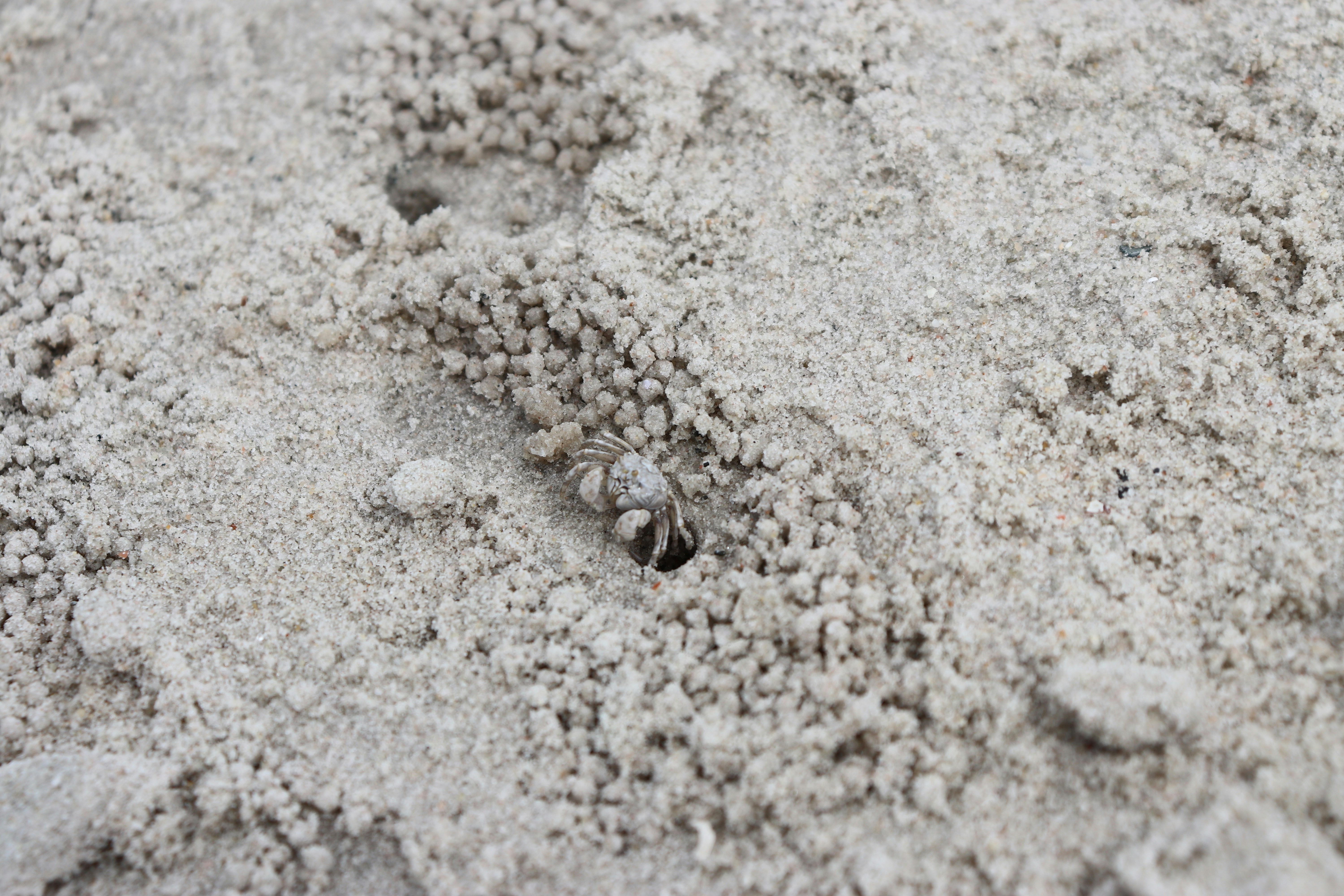 Photo by yfphotography